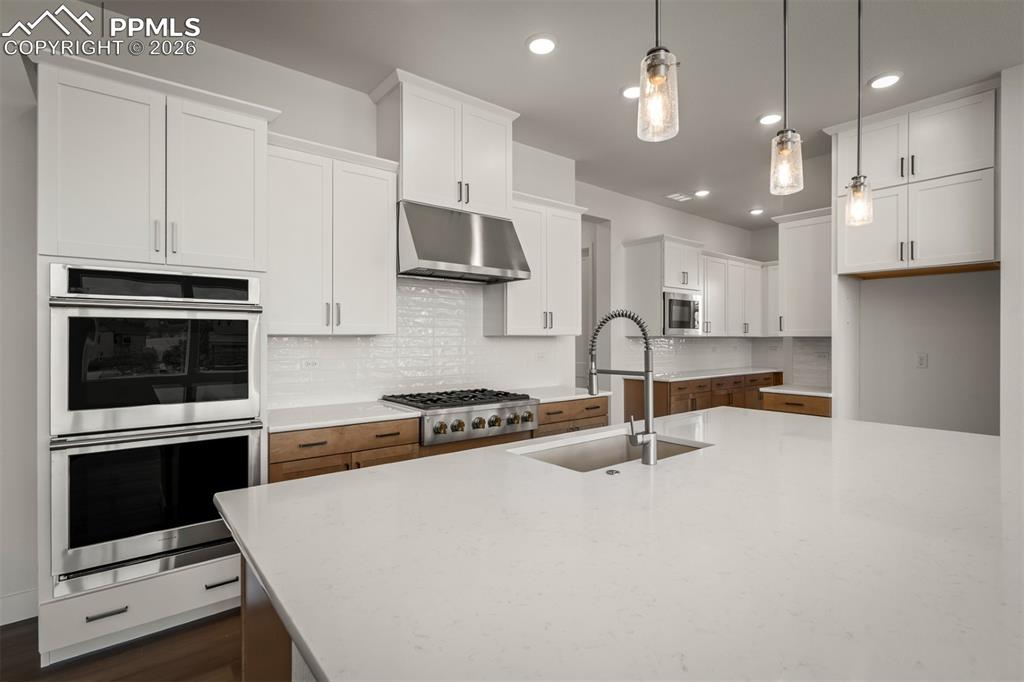 17113 Alsike Clover Court Monument CO 80132
