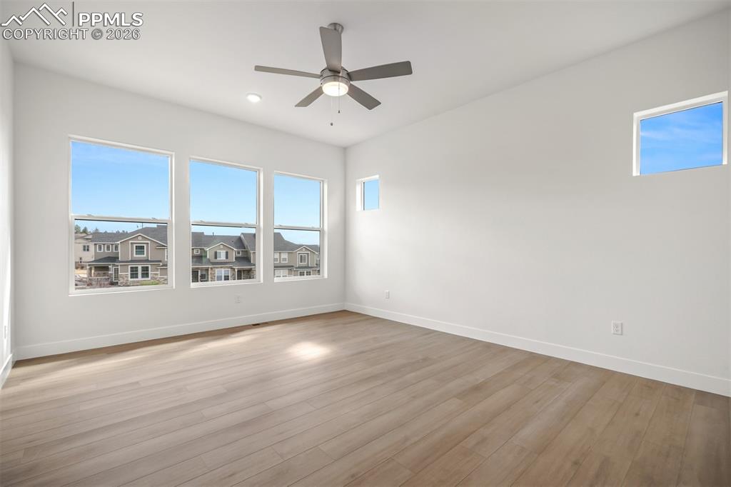 17113 Alsike Clover Court Monument CO 80132