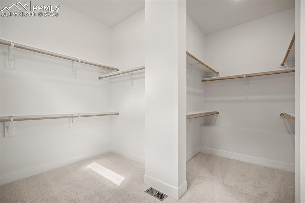 17113 Alsike Clover Court Monument CO 80132