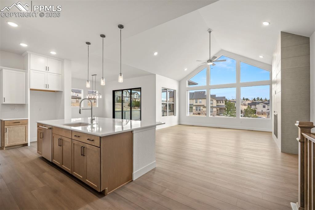 17113 Alsike Clover Court Monument CO 80132