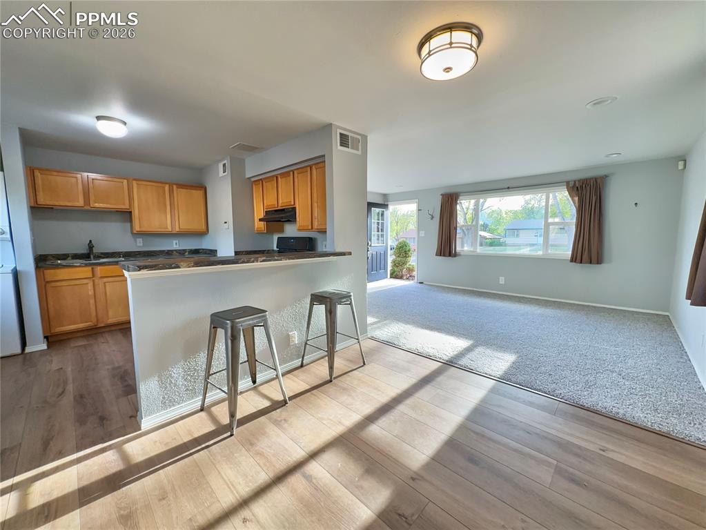 1927 Downing Drive Colorado Springs CO 80909
