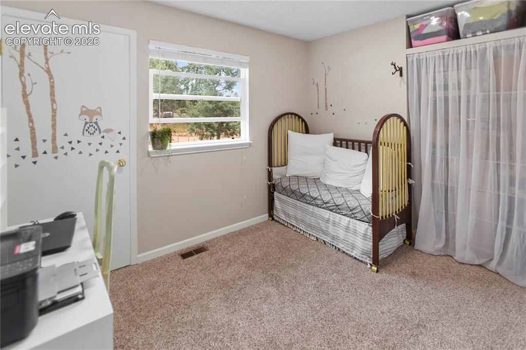 1010 W Lorraine Avenue Woodland Park CO 80863