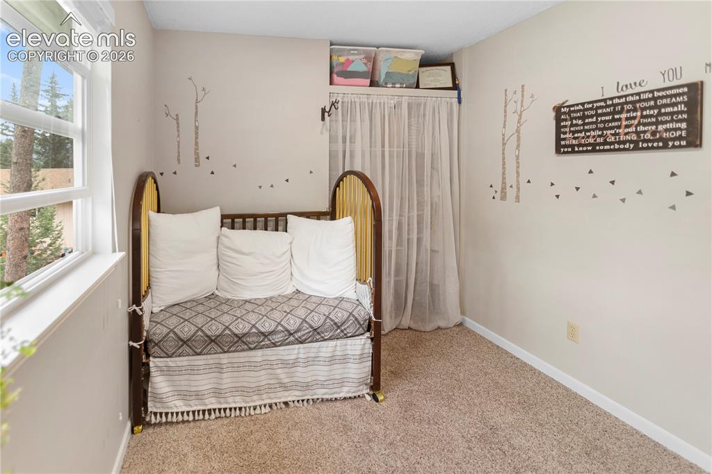 1010 W Lorraine Avenue Woodland Park CO 80863
