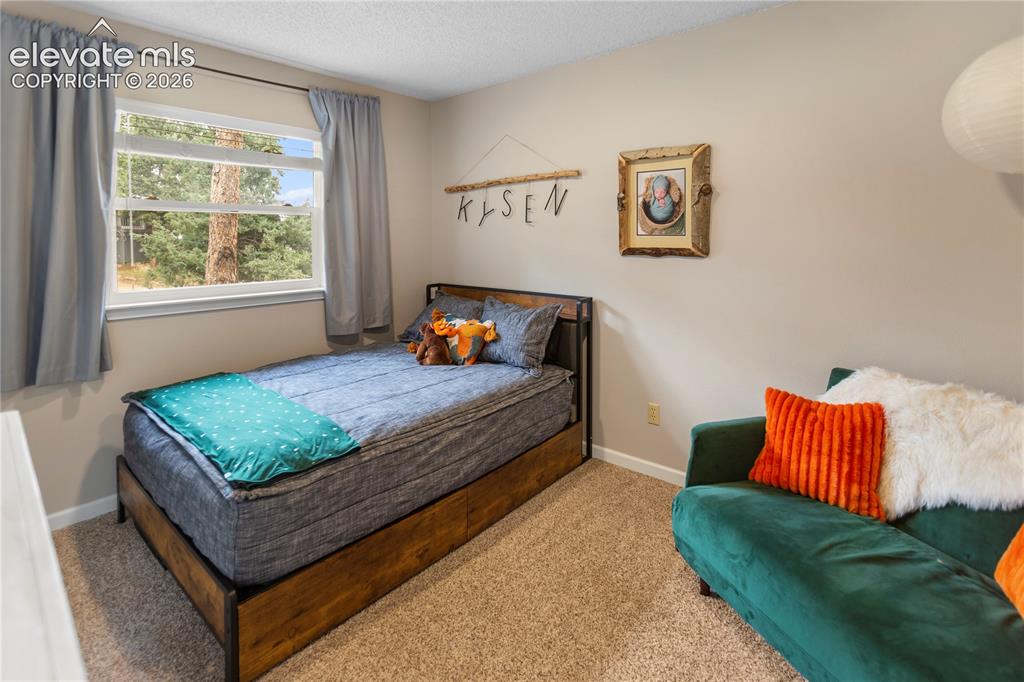 1010 W Lorraine Avenue Woodland Park CO 80863