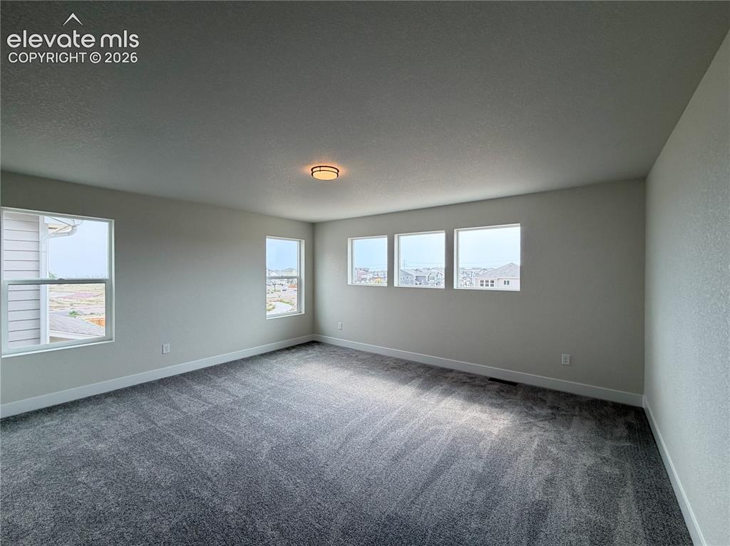 8222 Lemon Grass Road Falcon CO 80831