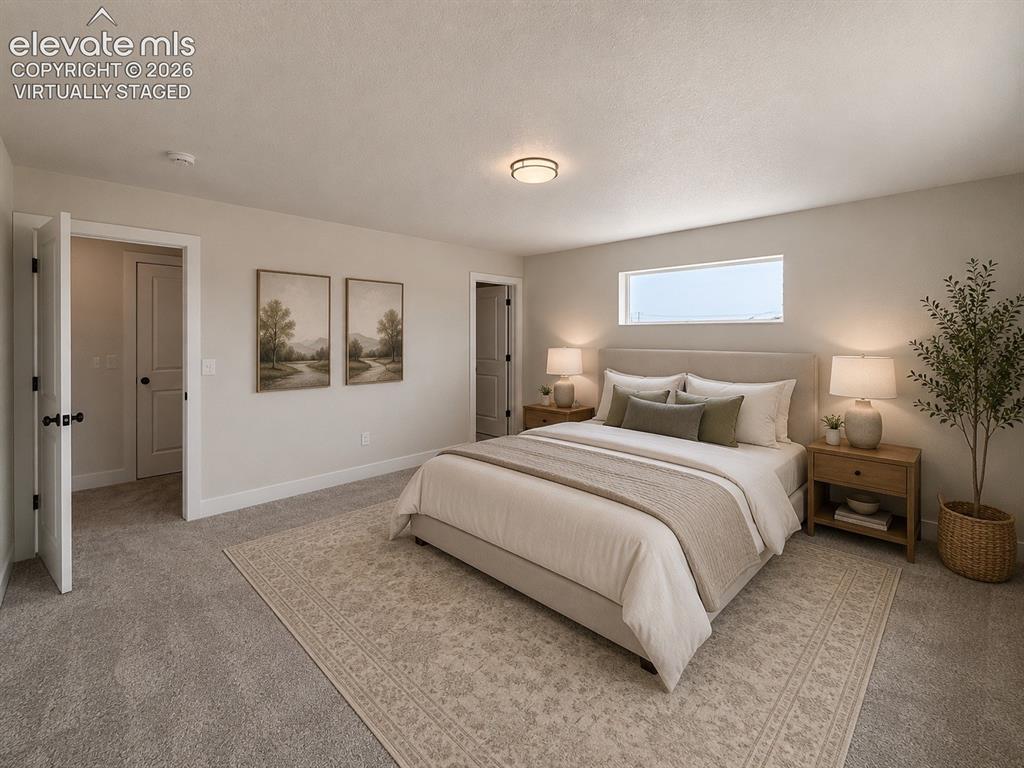 8222 Lemon Grass Road Falcon CO 80831