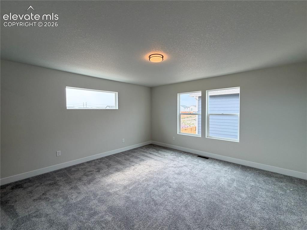8222 Lemon Grass Road Falcon CO 80831