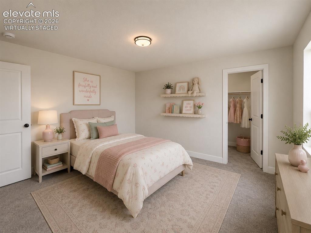 8222 Lemon Grass Road Falcon CO 80831