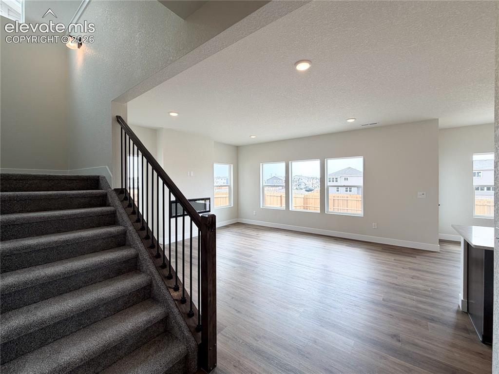 8222 Lemon Grass Road Falcon CO 80831