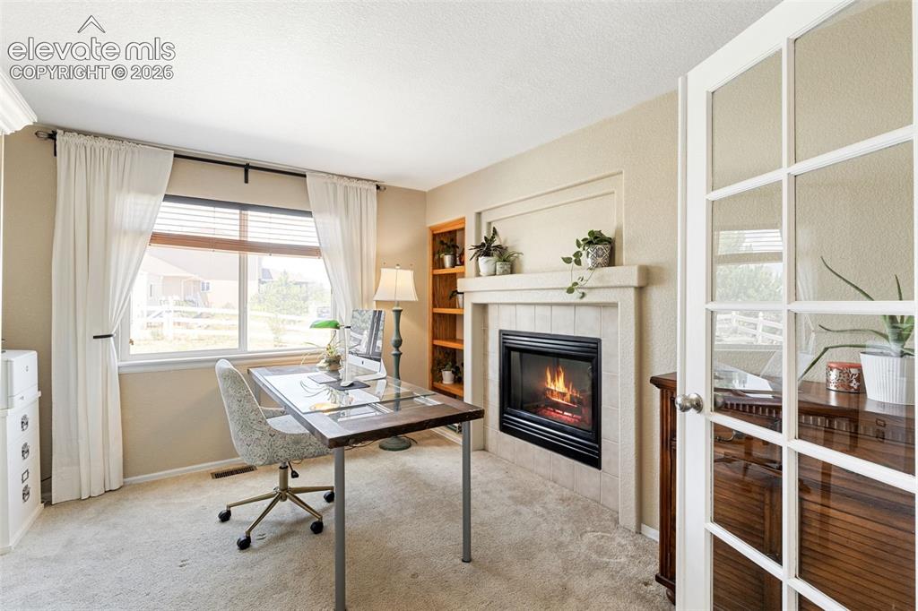 8309 Ivory Loop Peyton CO 80831