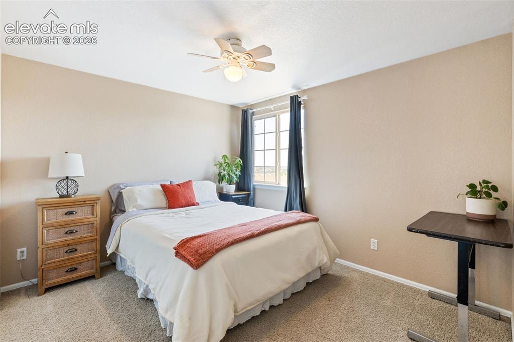 8309 Ivory Loop Peyton CO 80831
