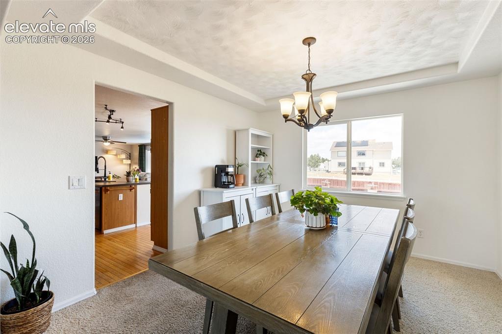 8309 Ivory Loop Peyton CO 80831