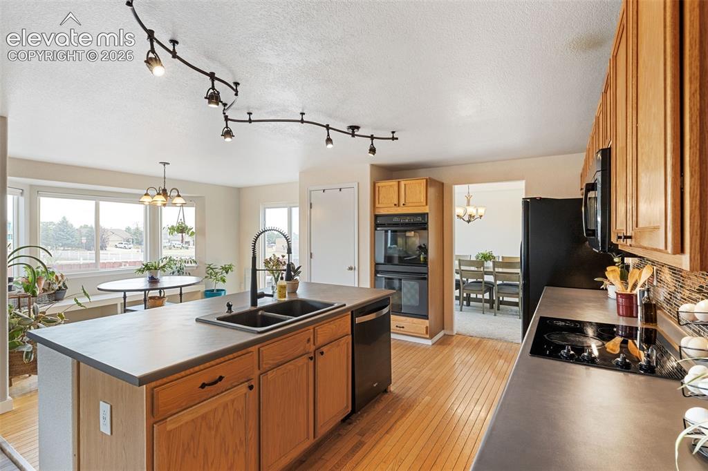 8309 Ivory Loop Peyton CO 80831