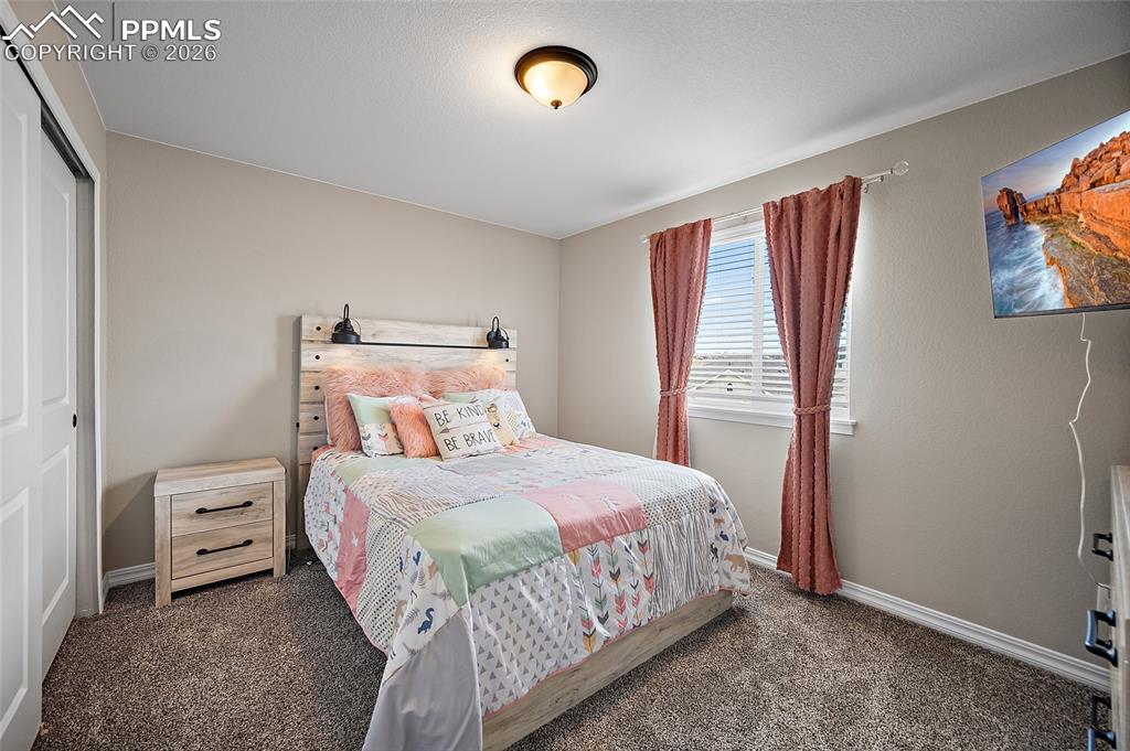 2937 Equine Court Colorado Springs CO 80922