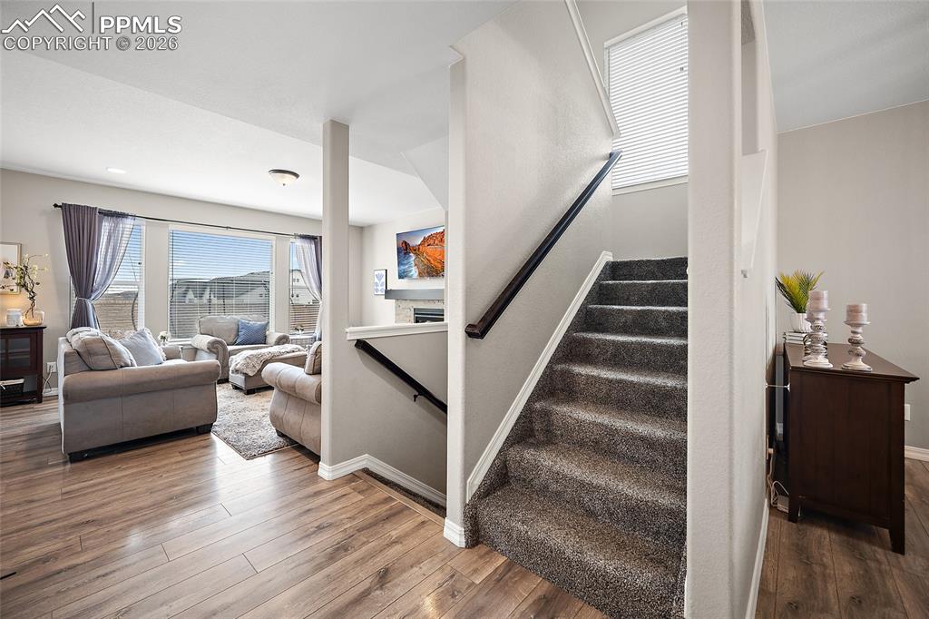 2937 Equine Court Colorado Springs CO 80922