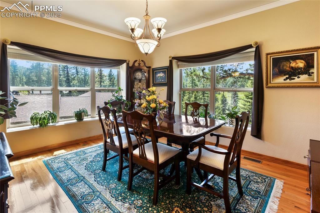 1530 Masters Drive Woodland Park CO 80863