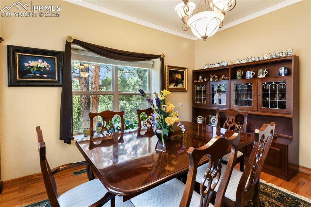 1530 Masters Drive Woodland Park CO 80863