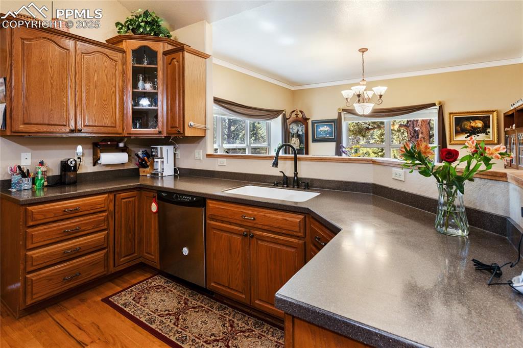 1530 Masters Drive Woodland Park CO 80863