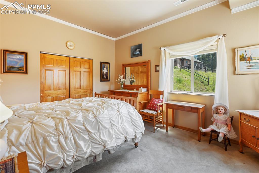 1530 Masters Drive Woodland Park CO 80863