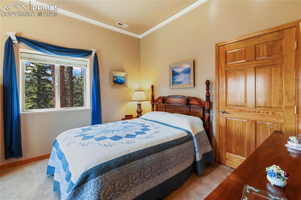 1530 Masters Drive Woodland Park CO 80863