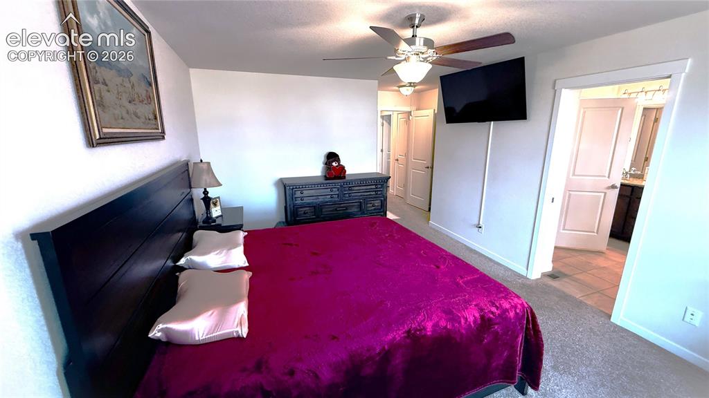6940 Peachleaf Drive Colorado Springs CO 80925