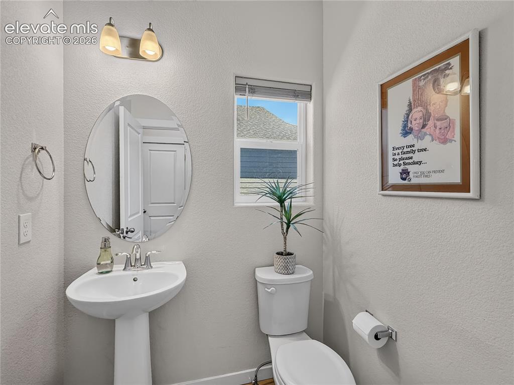6940 Peachleaf Drive Colorado Springs CO 80925