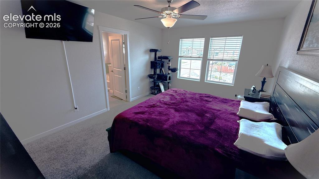 6940 Peachleaf Drive Colorado Springs CO 80925