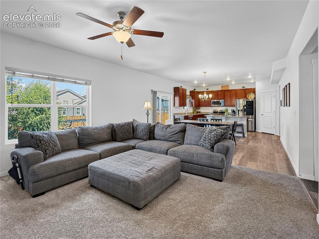 6940 Peachleaf Drive Colorado Springs CO 80925