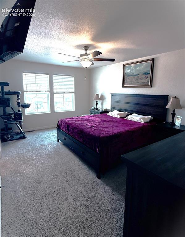 6940 Peachleaf Drive Colorado Springs CO 80925