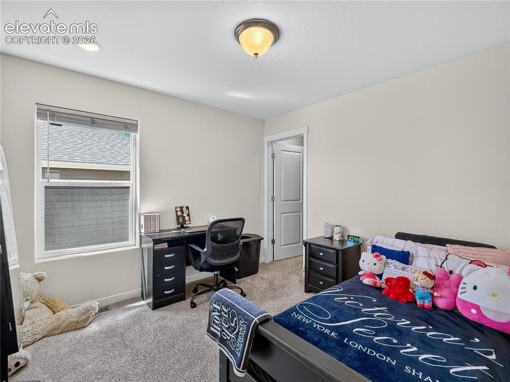 6940 Peachleaf Drive Colorado Springs CO 80925