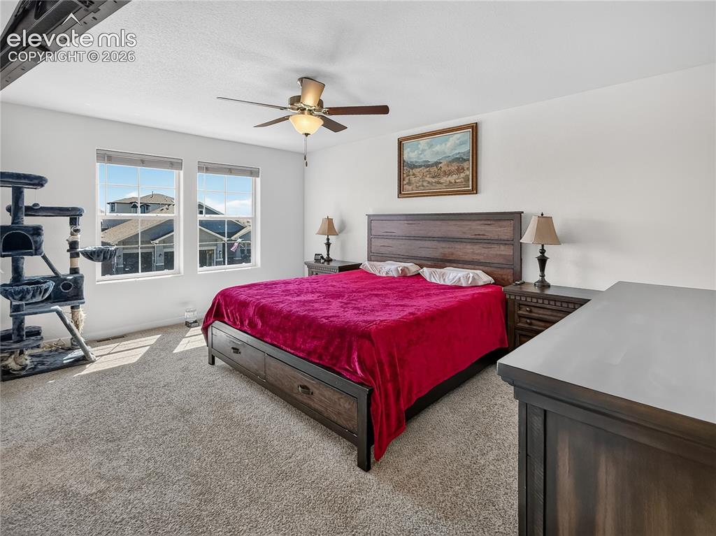 6940 Peachleaf Drive Colorado Springs CO 80925