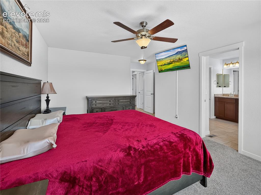 6940 Peachleaf Drive Colorado Springs CO 80925