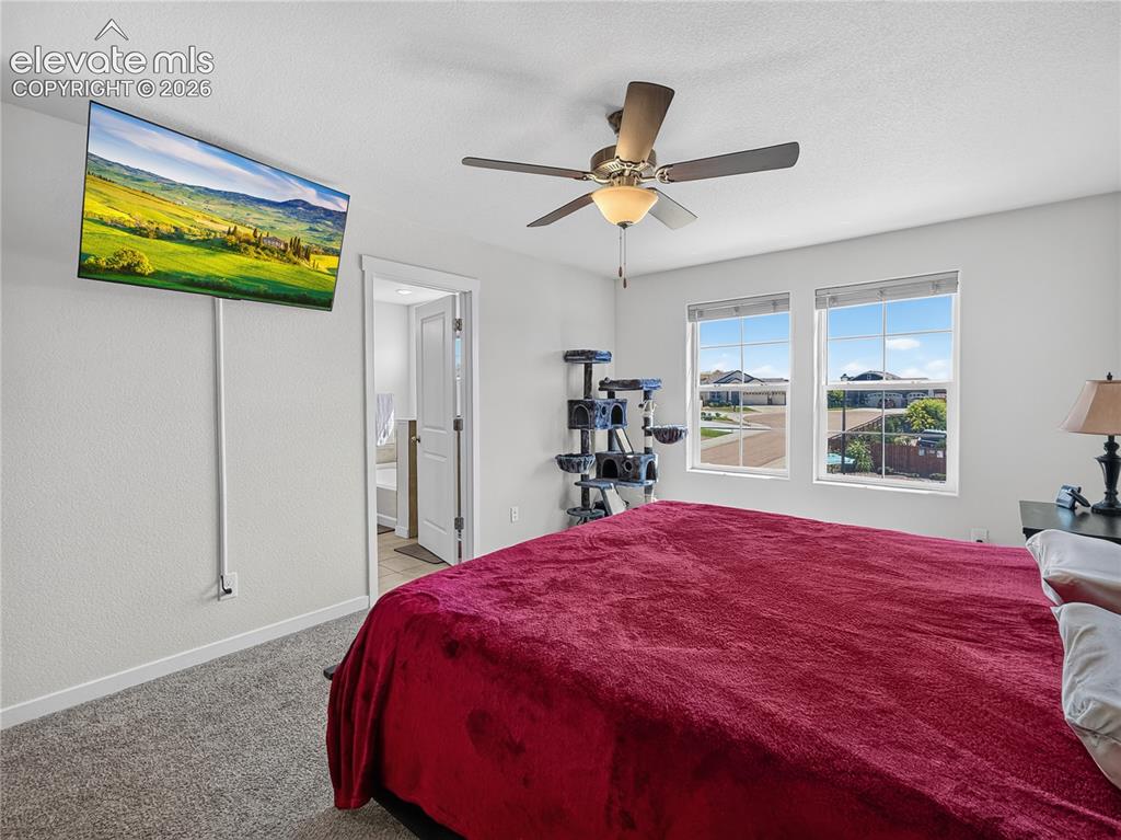 6940 Peachleaf Drive Colorado Springs CO 80925
