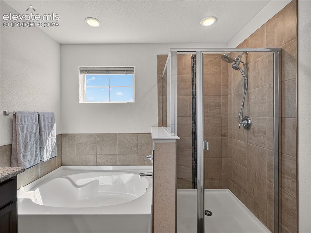 6940 Peachleaf Drive Colorado Springs CO 80925
