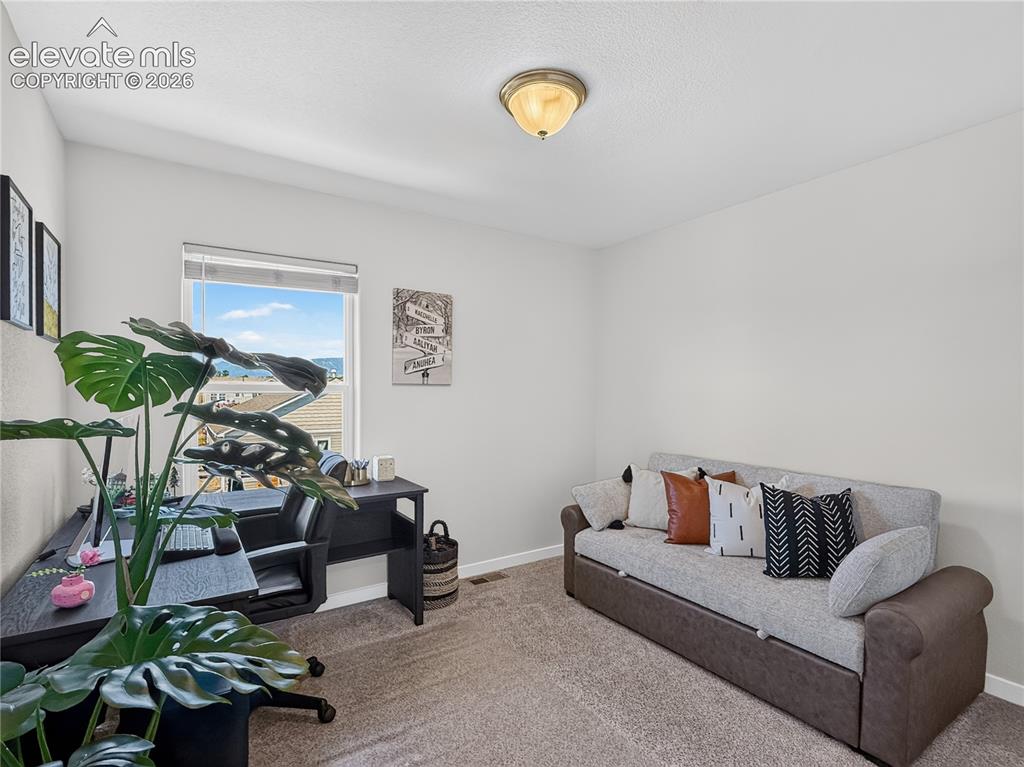 6940 Peachleaf Drive Colorado Springs CO 80925