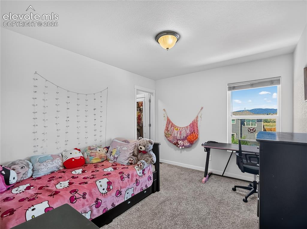 6940 Peachleaf Drive Colorado Springs CO 80925