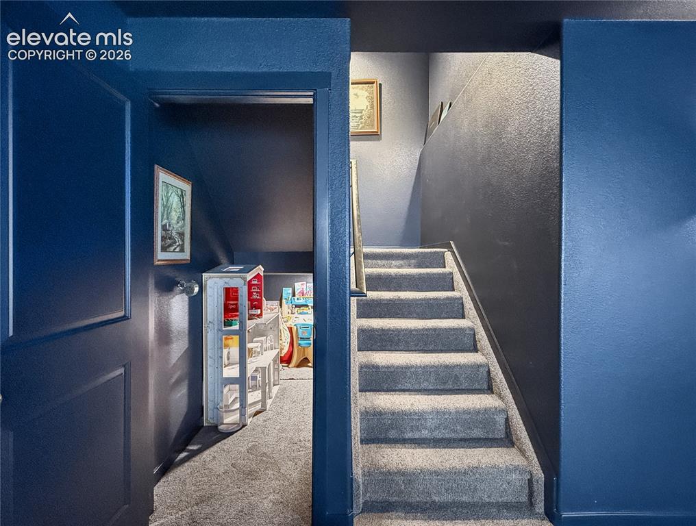 6940 Peachleaf Drive Colorado Springs CO 80925