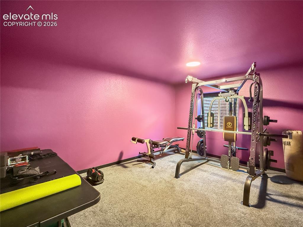 6940 Peachleaf Drive Colorado Springs CO 80925