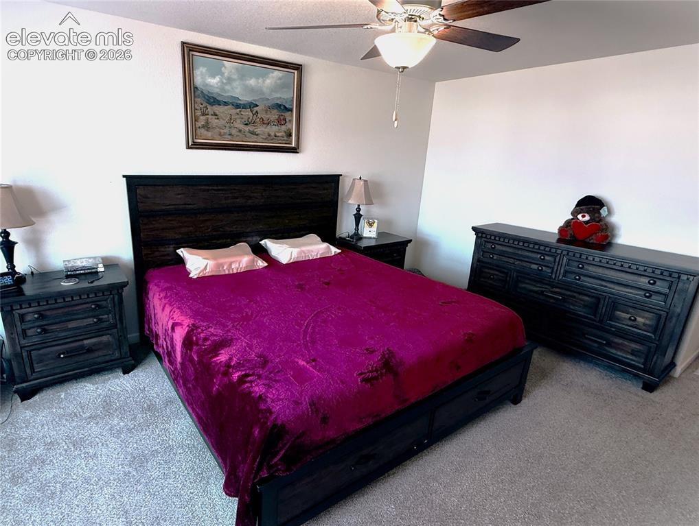 6940 Peachleaf Drive Colorado Springs CO 80925