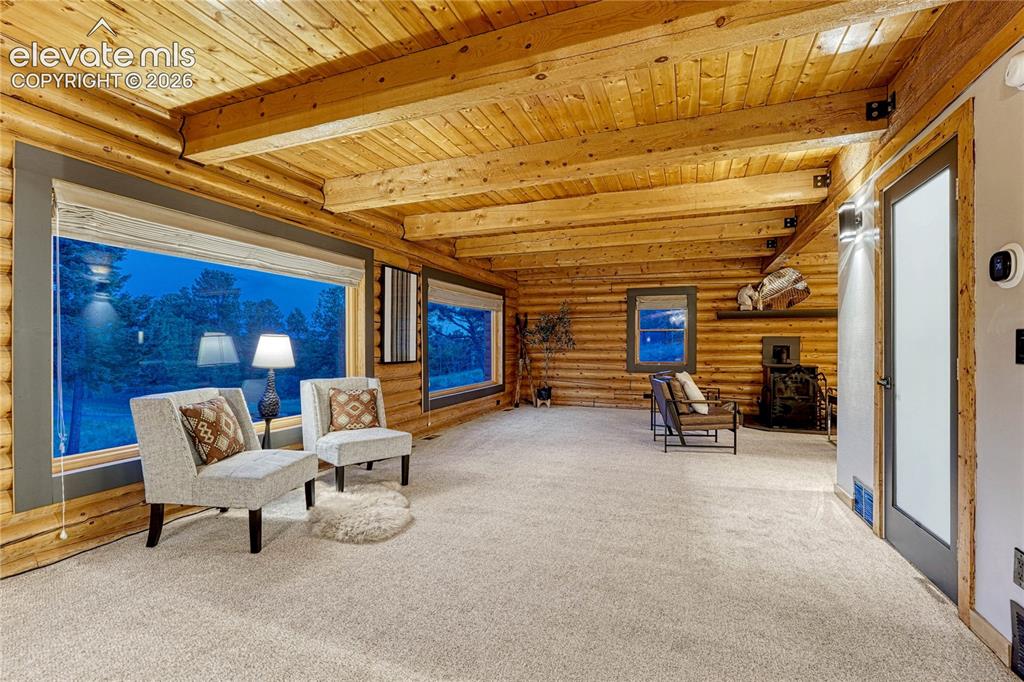 78 Barr Lake Circle Divide CO 80814