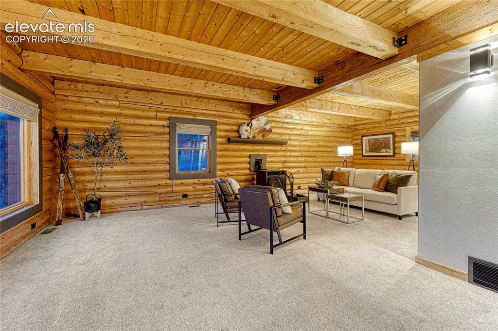 78 Barr Lake Circle Divide CO 80814