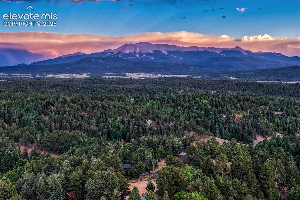 78 Barr Lake Circle Divide CO 80814