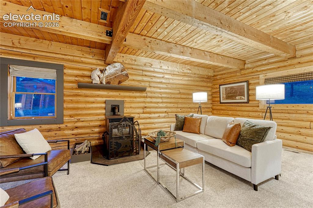 78 Barr Lake Circle Divide CO 80814