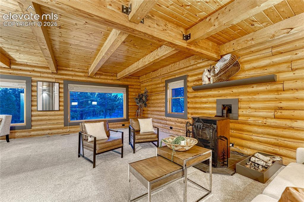 78 Barr Lake Circle Divide CO 80814