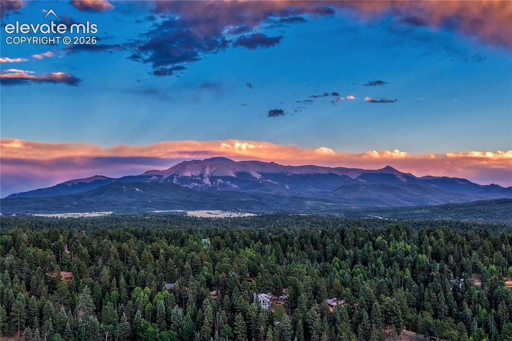 78 Barr Lake Circle Divide CO 80814