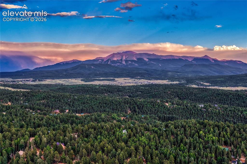 78 Barr Lake Circle Divide CO 80814