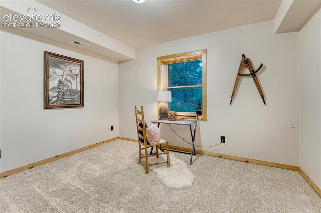 78 Barr Lake Circle Divide CO 80814