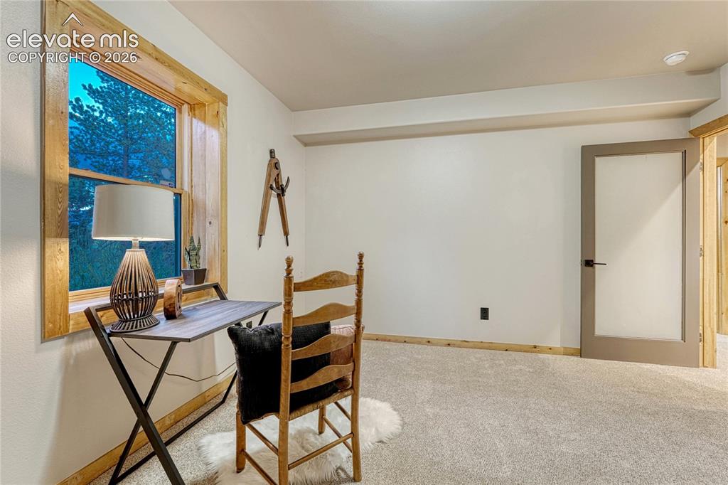 78 Barr Lake Circle Divide CO 80814
