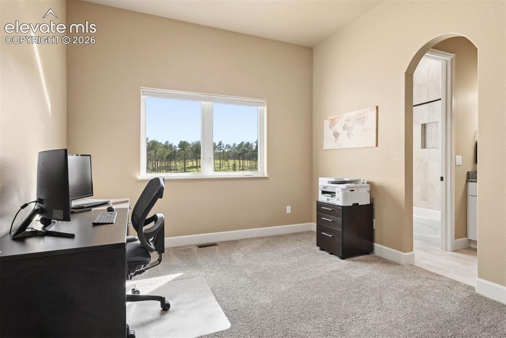 14894 Snowy Pine Point Colorado Springs CO 80908