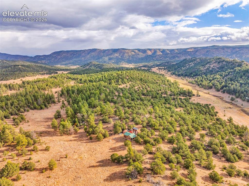 523-599 Ferris Drive Westcliffe CO 81252